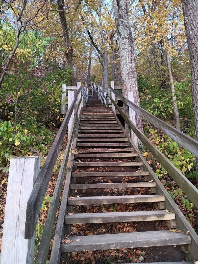 The Wooden Staircase Down to the River