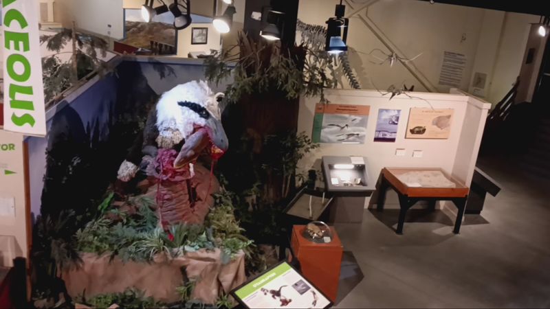 The Working Paleontology Lab