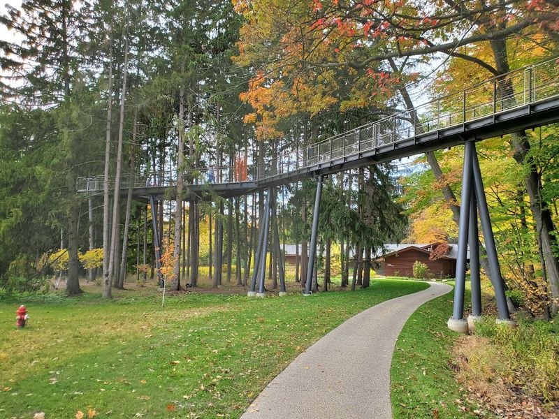 The World's Longest Canopy Walk