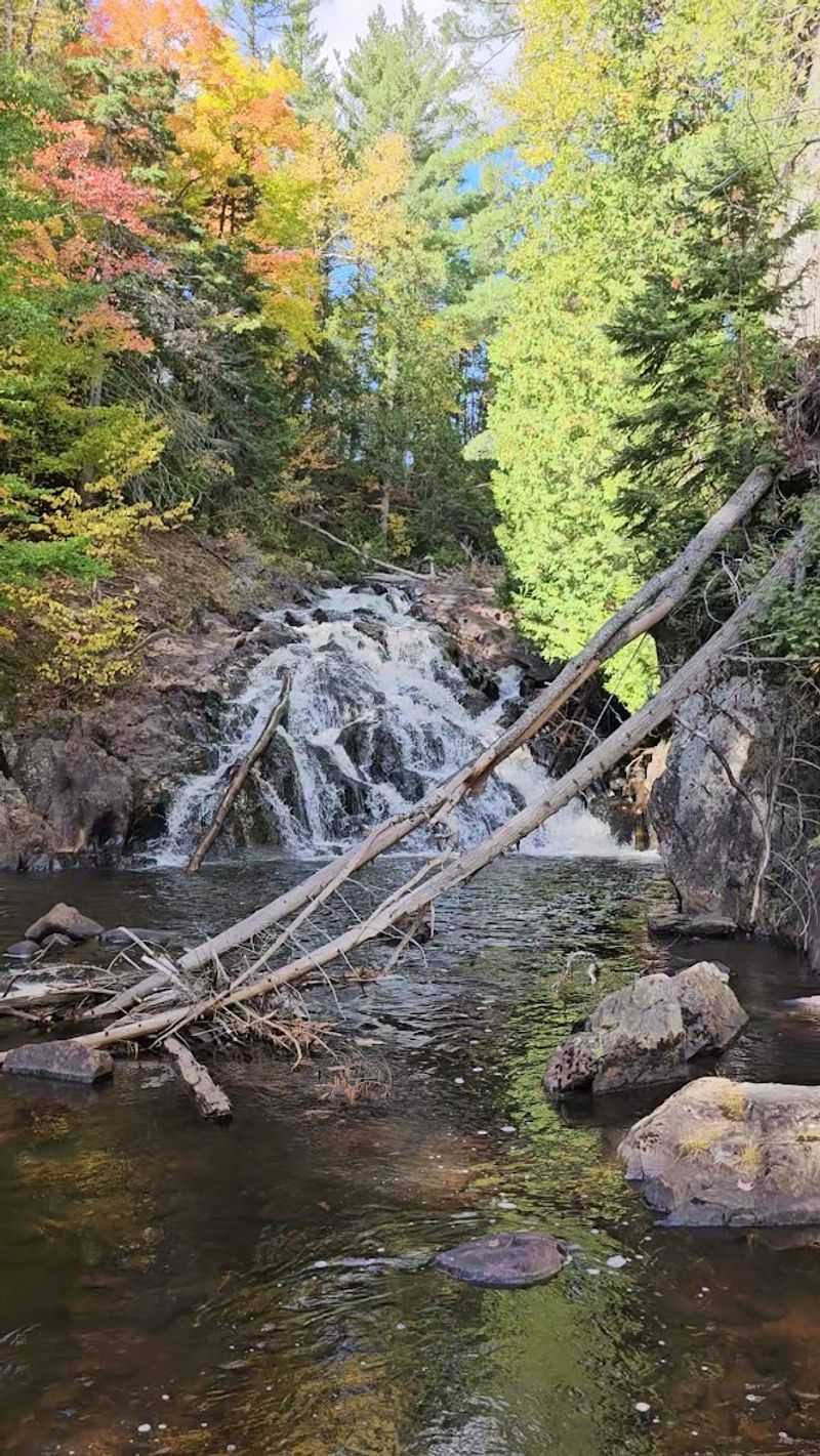 The Yellow Dog River: A Waterway Worth Knowing