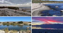 There’s a surreal bone-covered beach hidden deep in the California desert that feels almost unreal