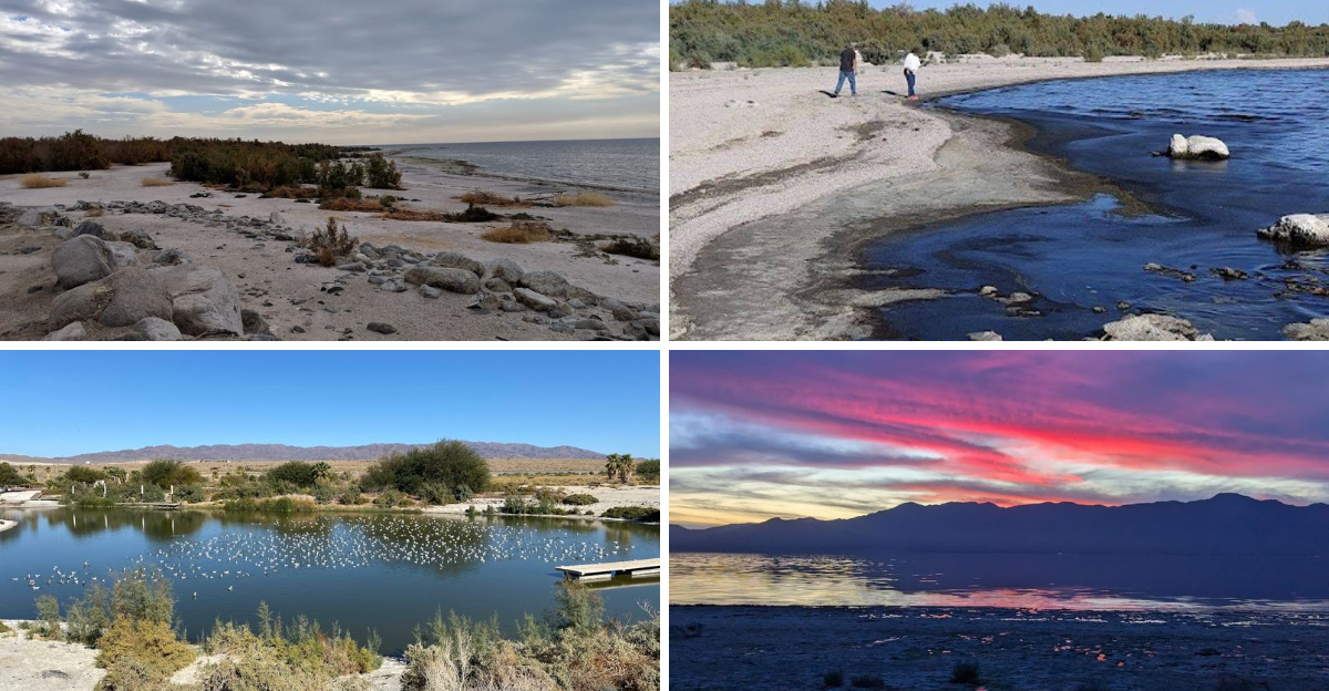 Theres a surreal bone covered beach hidden deep in the California desert that feels almost unreal