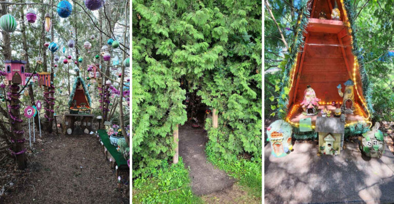 There’s a tiny hidden fairy forest in Michigan that feels completely magical