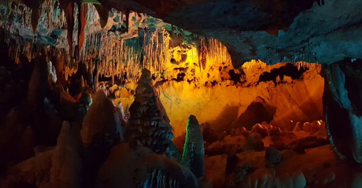 There’s nothing quite like this gorgeous enchanting cave hike hidden in plain sight in Florida