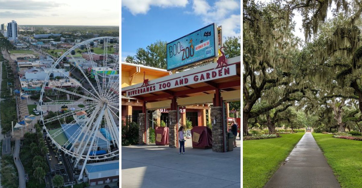 These 12 enchanting South Carolina destinations are perfect for your next family getaway
