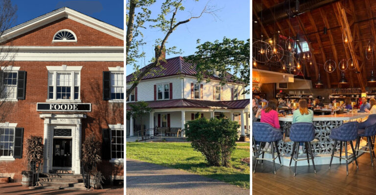 These 14 one-of-a-kind themed restaurants in Virginia are dining experiences you’ll never forget