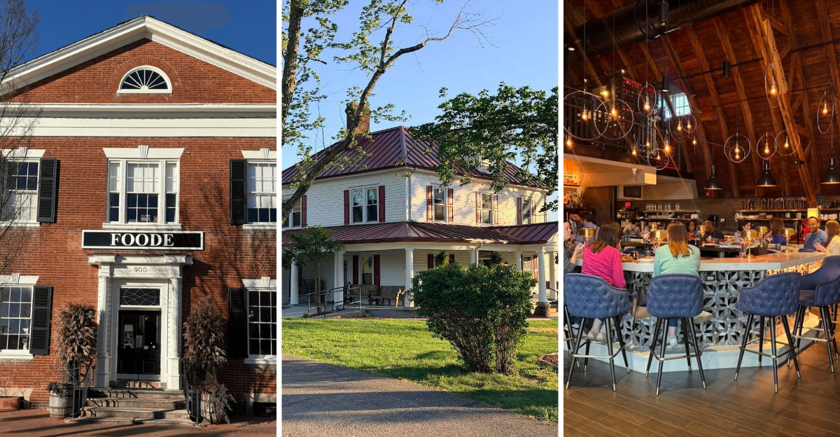 These 14 one-of-a-kind themed restaurants in Virginia are dining experiences you’ll never forget