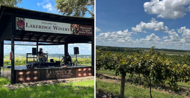 This Florida winery combines free tastings with beautiful scenery