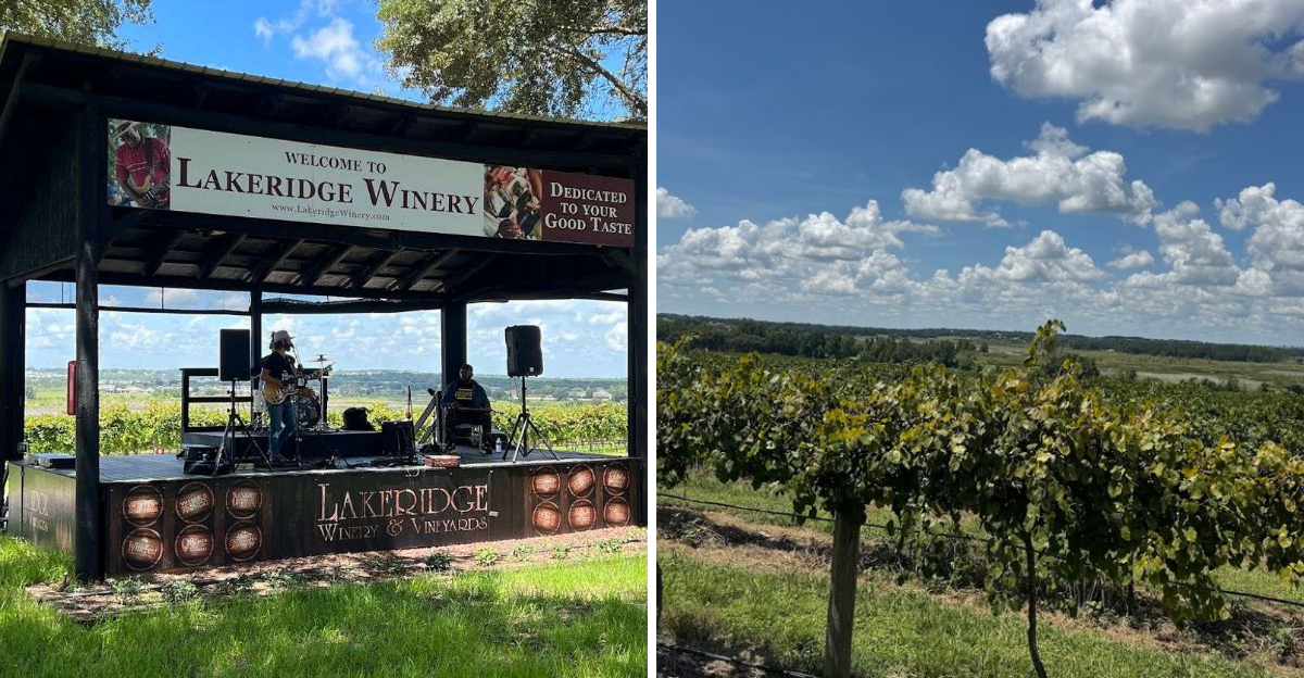 This Florida winery combines free tastings with beautiful scenery