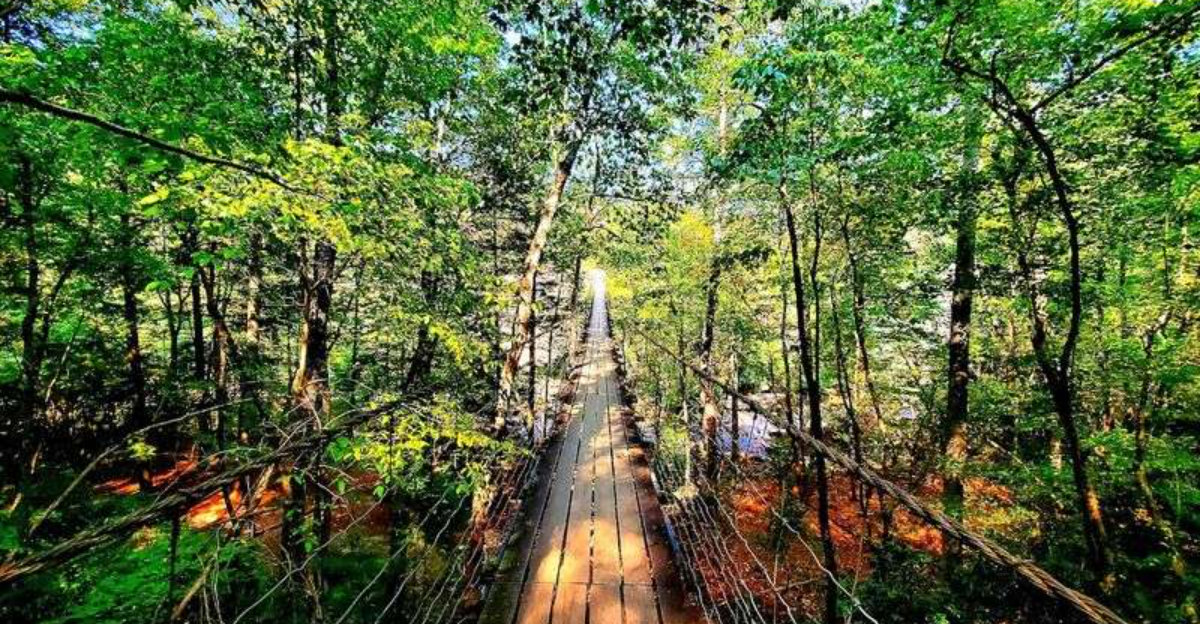 This beautiful Tennessee state park remains largely undiscovered