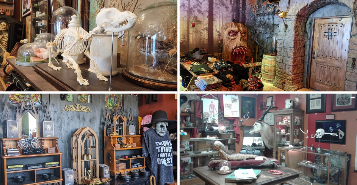 This bizarre California oddity store is packed with rare treasures and unusual collectibles