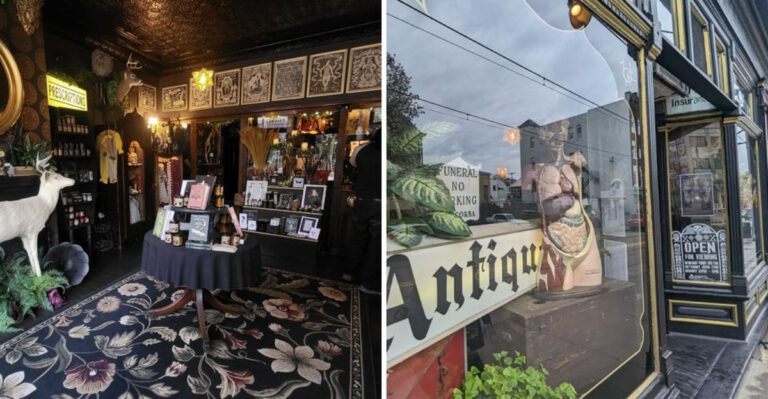 This bizarre Pennsylvania oddity store is packed with rare treasures and unusual collectibles