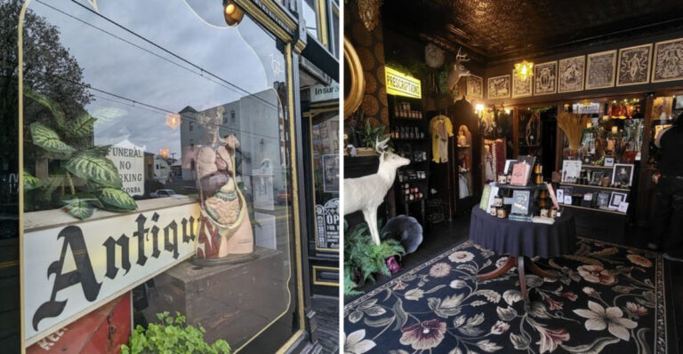 This bizarre oddity store in Pennsylvania is packed with rare treasures and unusual collectibles
