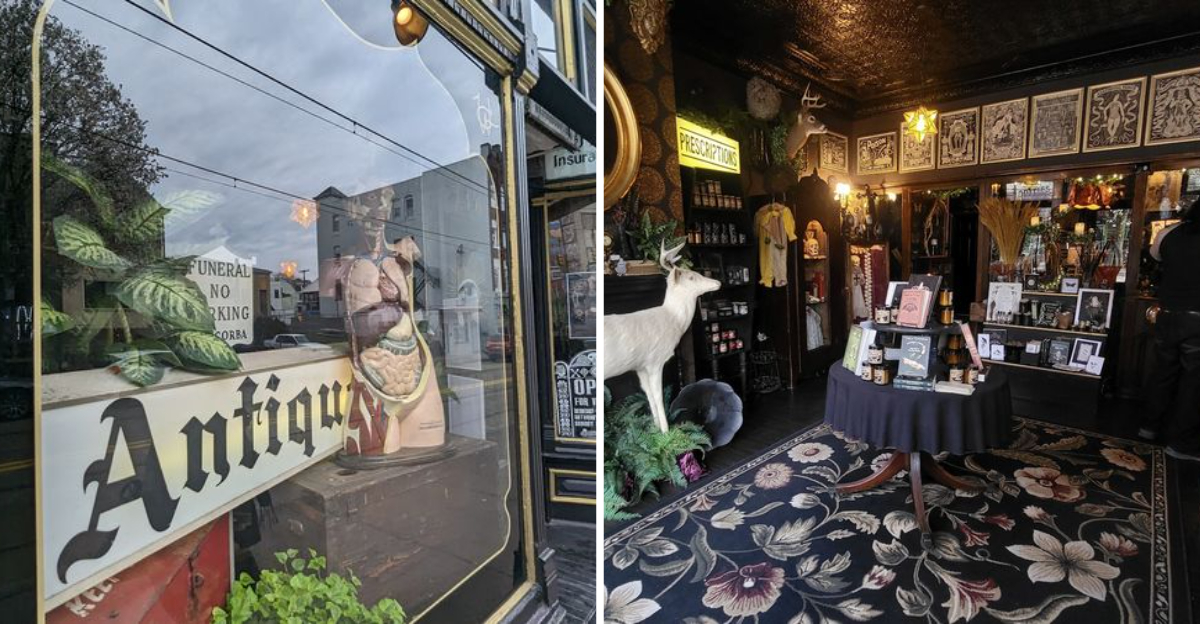 This bizarre oddity store in Pennsylvania is packed with rare treasures and unusual collectibles