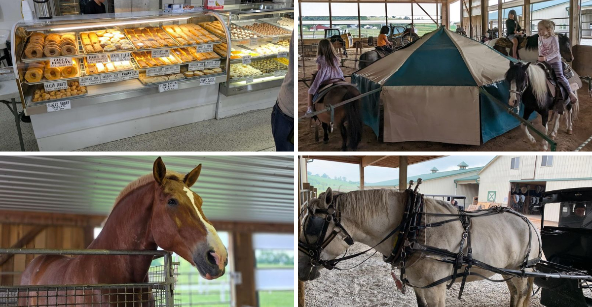 This delightful Ohio stop combines homemade treats with adorable barnyard animals