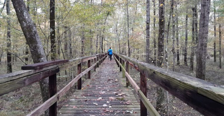 This dreamy Tennessee state park looks like a slice of paradise on earth