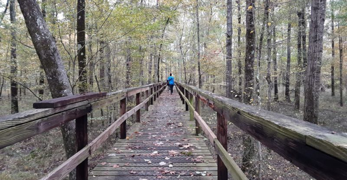 This dreamy Tennessee state park looks like a slice of paradise on earth