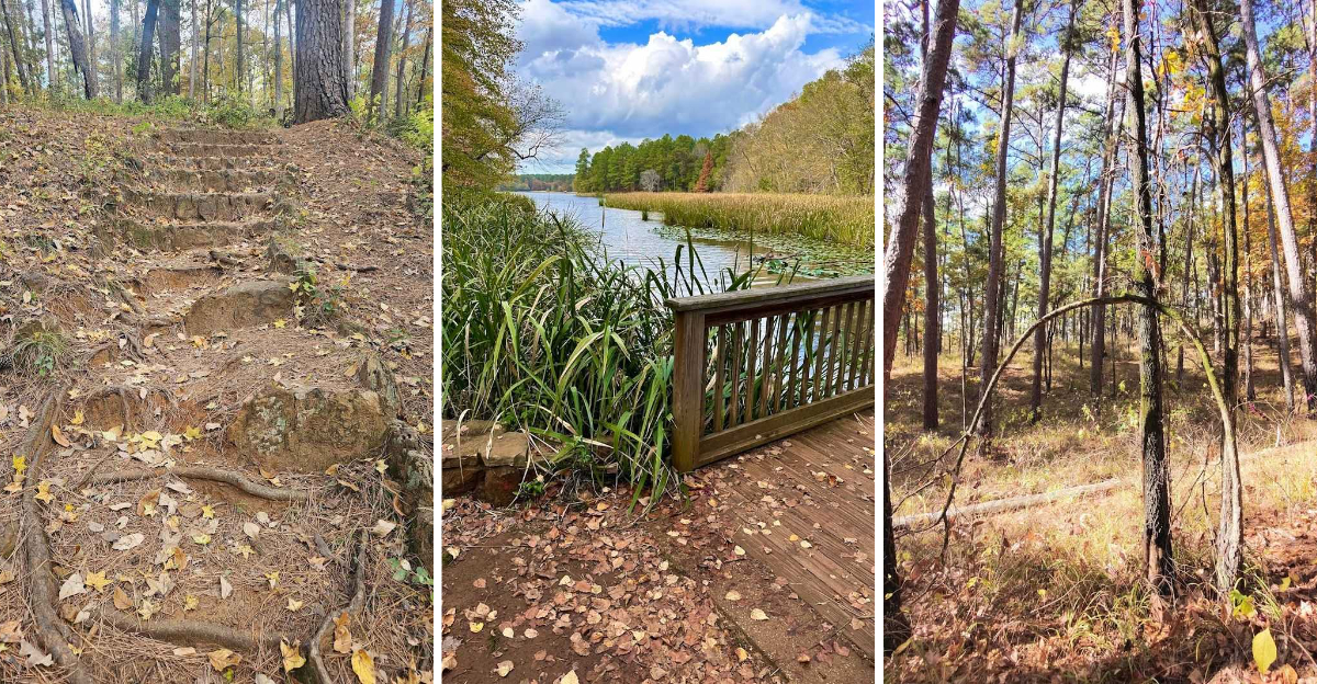 This easy 1 mile Texas trail leads to a stunning hidden waterfall