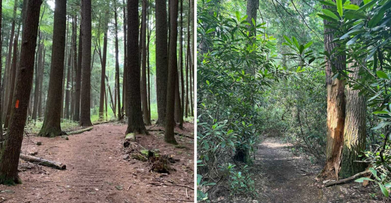 This easy 1-mile hike in Pennsylvania is so scenic, you’ll remember it for days afterward