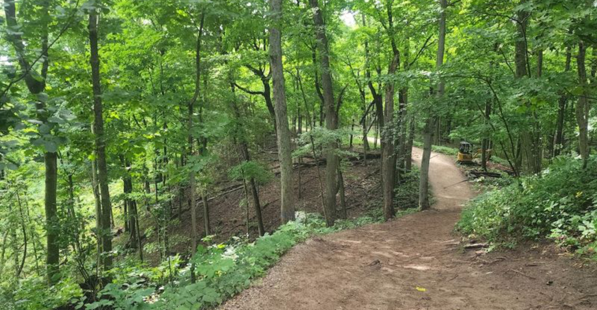 This easy 1.5 mile Michigan hike leads through stunning scenery and a hidden forest