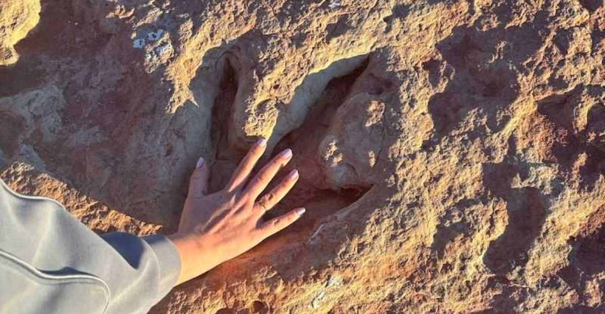 This educational Arizona trail feels like a real life Jurassic Park with actual dinosaur tracks