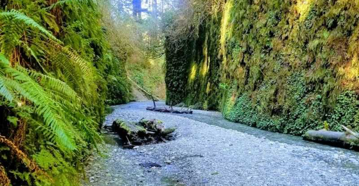 This enchanting California state park looks like something straight out of a fantasy film