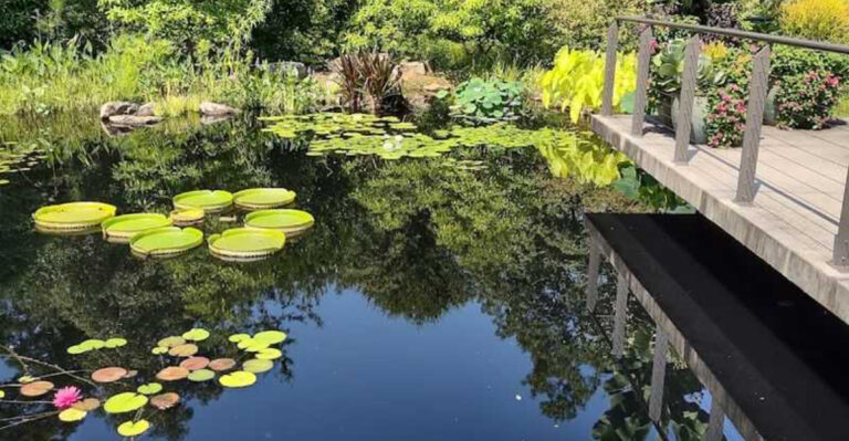 This enchanting botanical garden in Georgia is one of the state’s best hidden gems