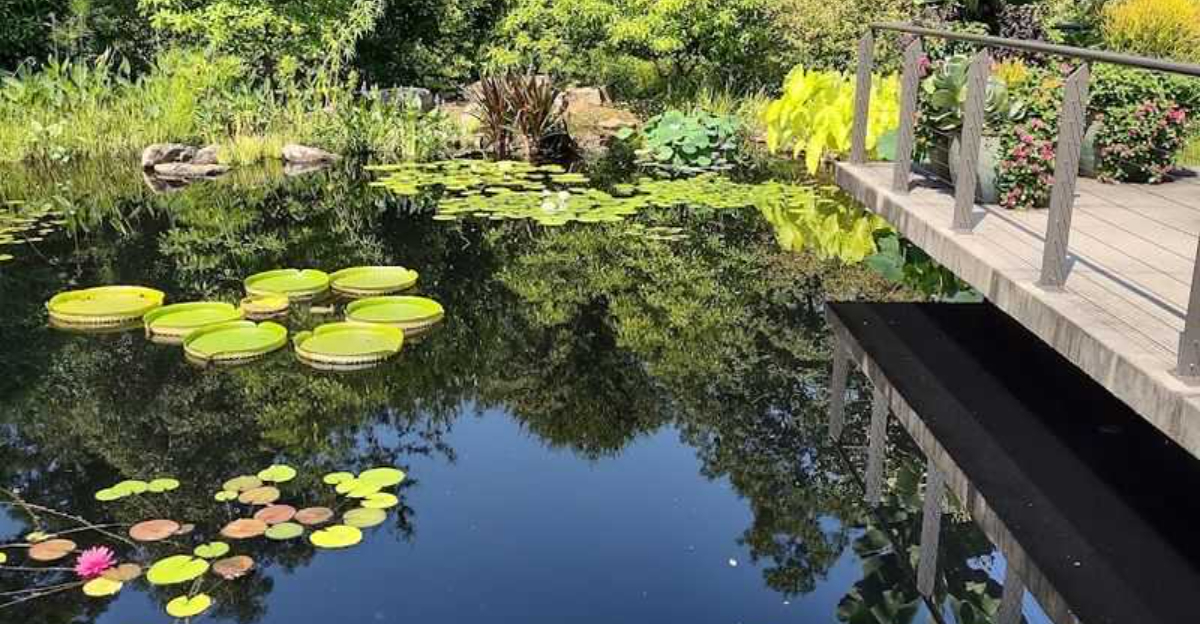 This enchanting botanical garden in Georgia is one of the states best hidden gems