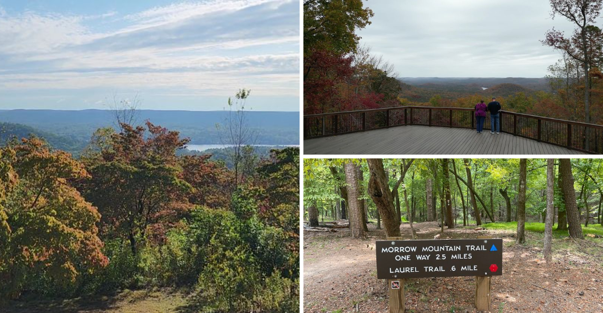 This fascinating North Carolina state park is a hidden gem most people never hear about