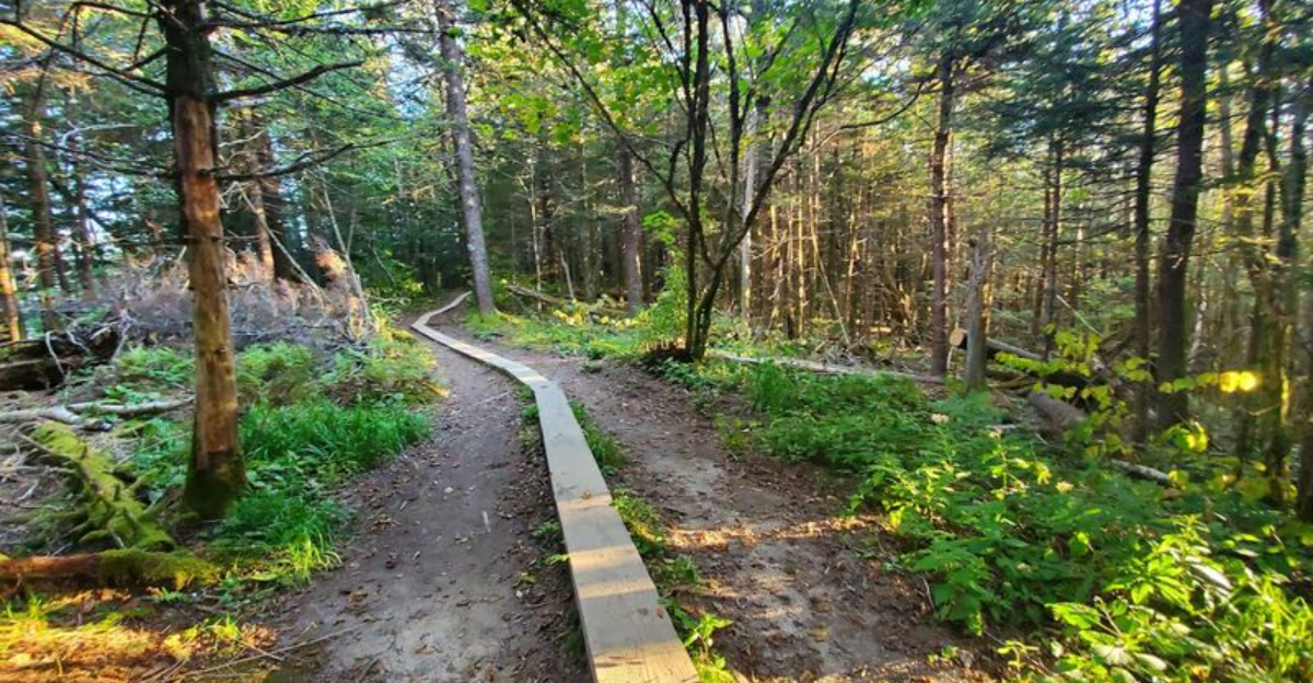 This fascinating Tennessee state park is a hidden gem most people never discover