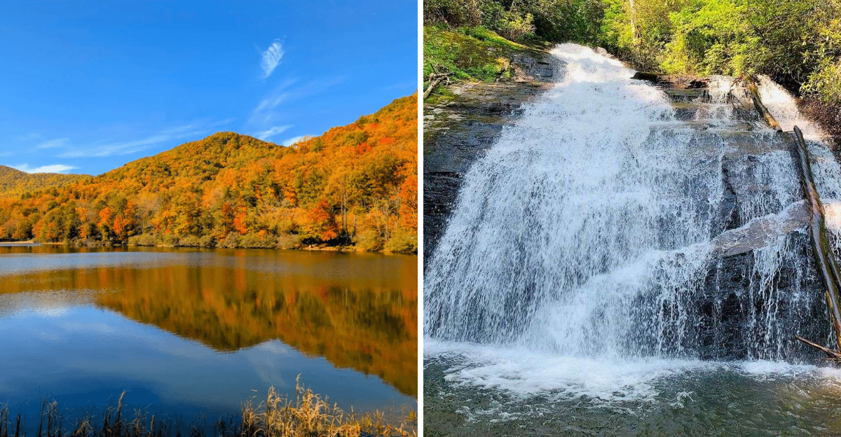 This gorgeous 233 acre Georgia state park is perfect for an easy day trip