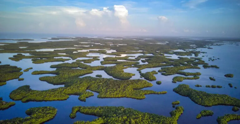 This gorgeous 35,000-acre wildlife refuge in Florida is a maze of hidden mangrove islands