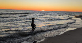 This gorgeous 5,300-acre Michigan state park is the perfect family-friendly day trip destination