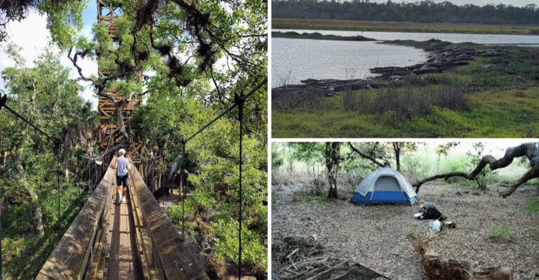 This gorgeous Florida state park is so picturesque, people drive from all over the state to explore it