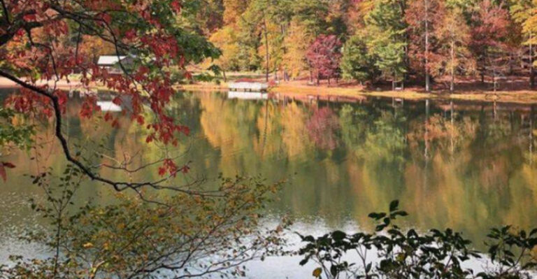This gorgeous Georgia state park feels like stepping straight into a postcard
