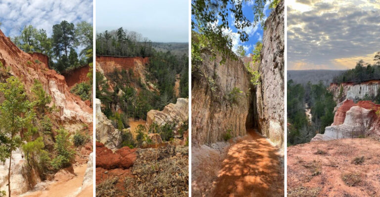 This gorgeous Georgia state park looks so surreal, it hardly feels real