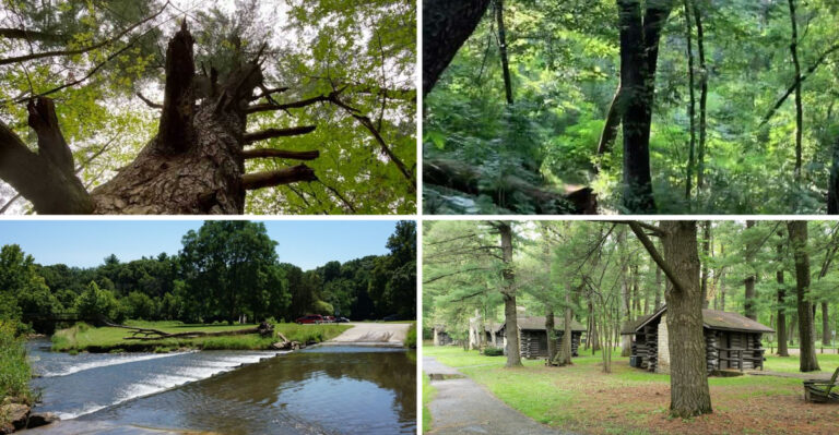 This gorgeous Illinois state park is almost too beautiful to feel real