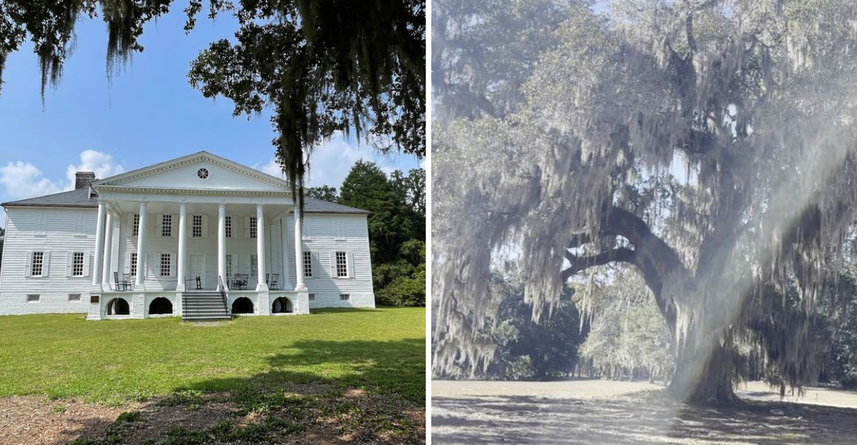 This gorgeous South Carolina plantation is a hauntingly beautiful hidden gem you’ll never forget