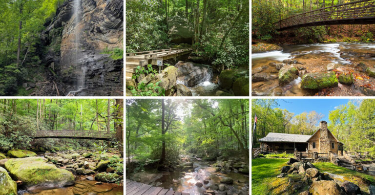 This gorgeous South Carolina state park is the perfect destination for laid-back day trips
