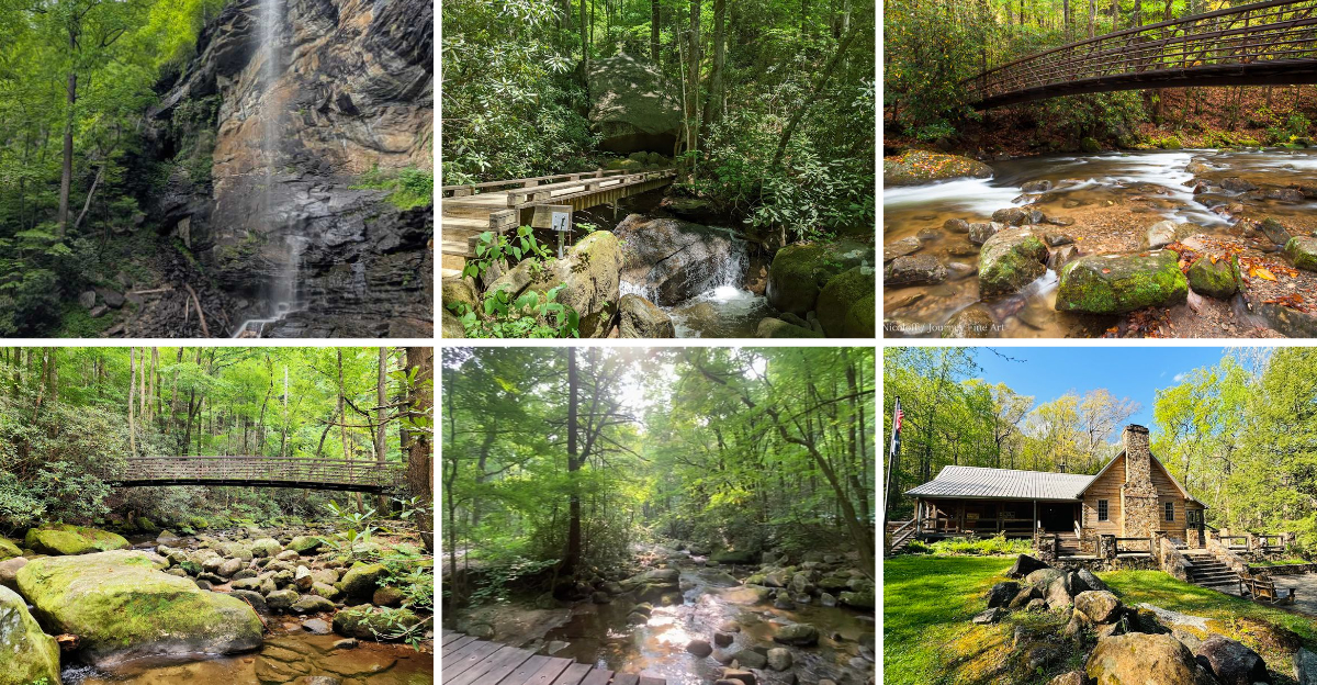 This gorgeous South Carolina state park is the perfect destination for laid back day trips