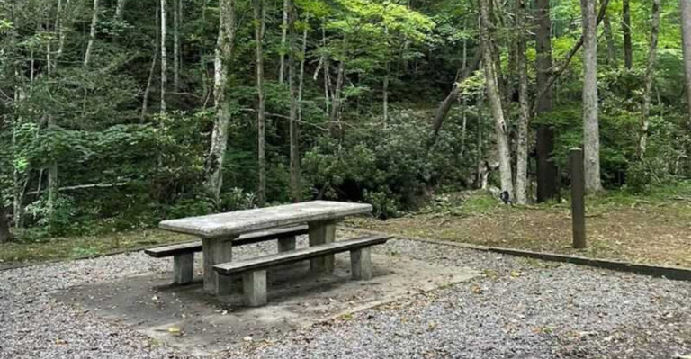 This gorgeous Tennessee state park is the perfect place to leave stress behind