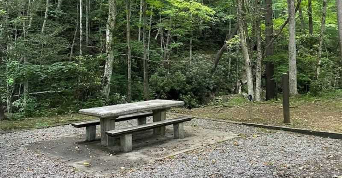 This gorgeous Tennessee state park is the perfect place to leave stress behind