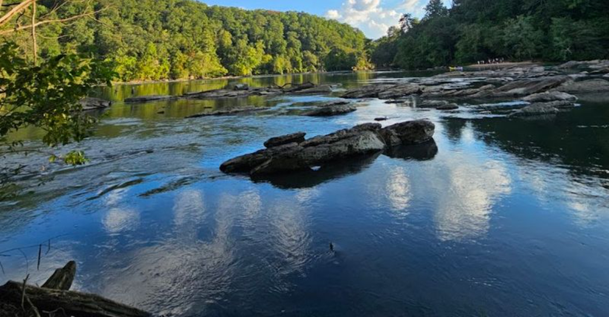 This gorgeous postcard worthy park in Georgia is the perfect destination for an easy day trip