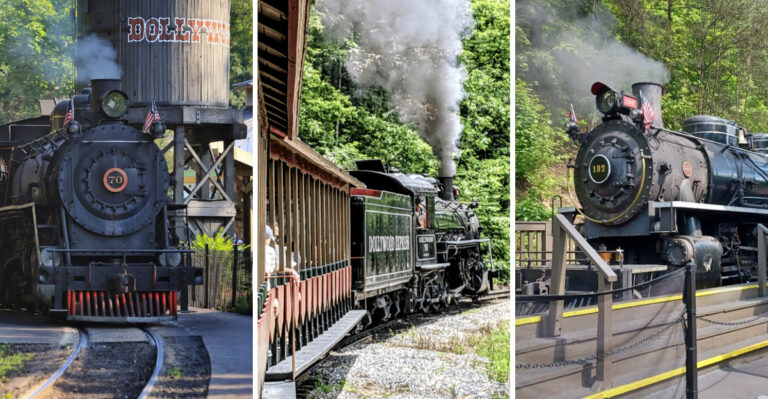This gorgeous scenic train ride in Tennessee belongs on every travel bucket list