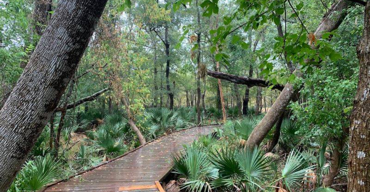 This gorgeous tiny Texas state park is far too beautiful to keep secret