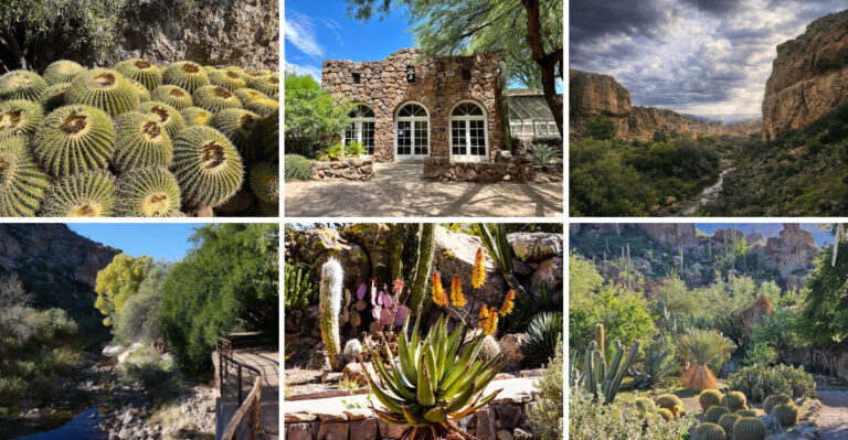This hidden Arizona garden feels like something straight out of a storybook