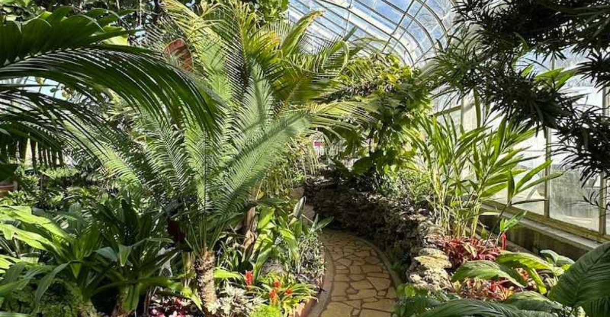 This hidden Illinois conservatory is a dream destination for plant lovers