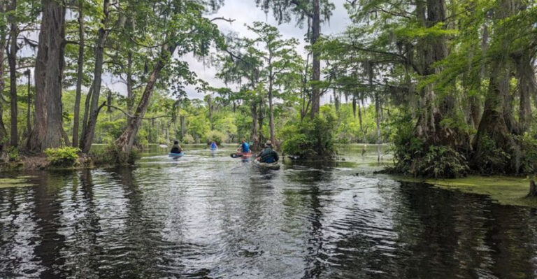 This hidden North Carolina state park is the peaceful escape most travelers never find
