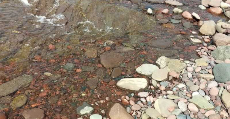 This hidden lakeside park in Michigan is perfect for finding rare rocks and fossils