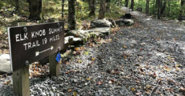 This hidden mountain park in North Carolina is well worth the drive to experience